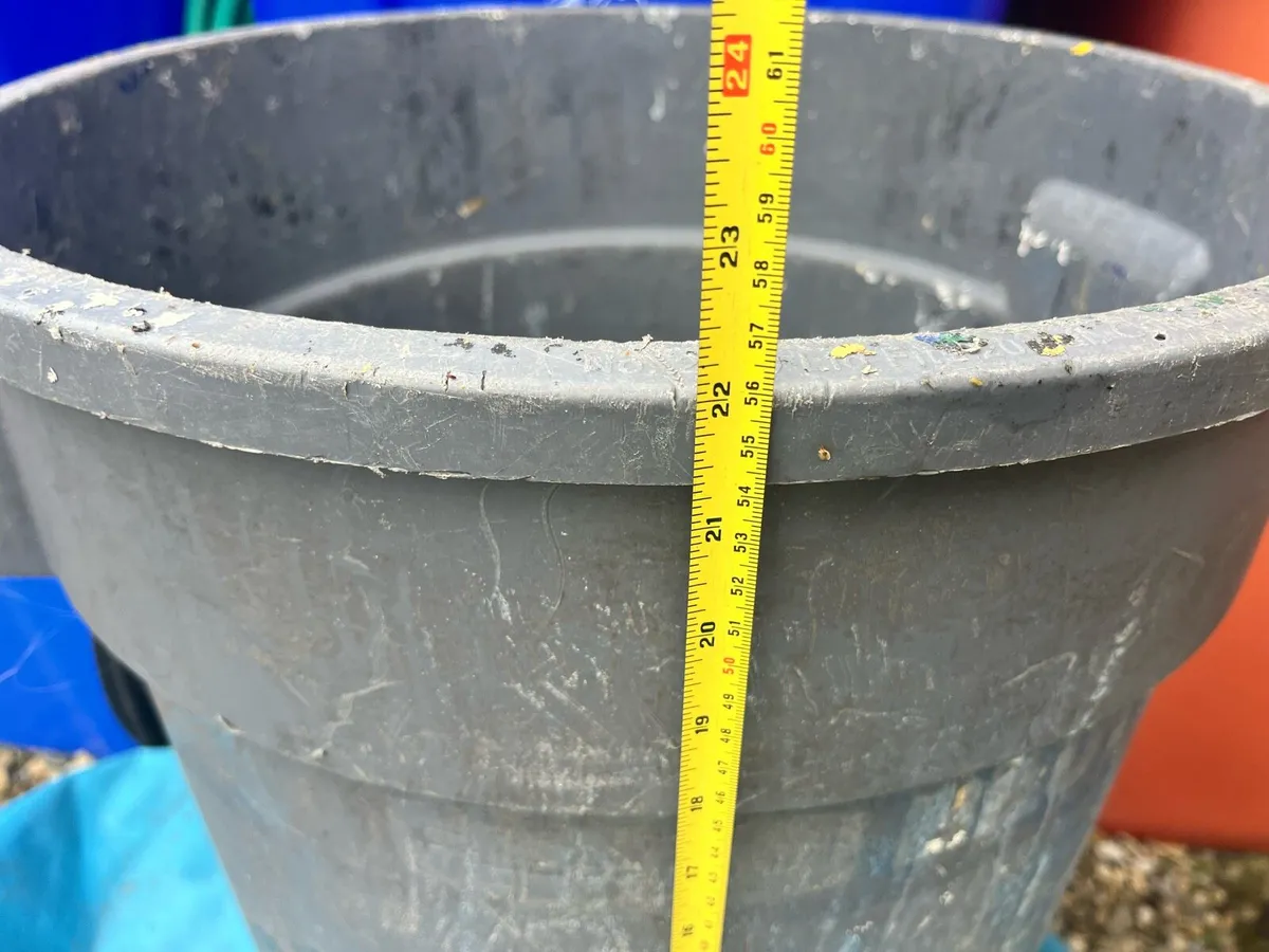 For sale big container - Image 3