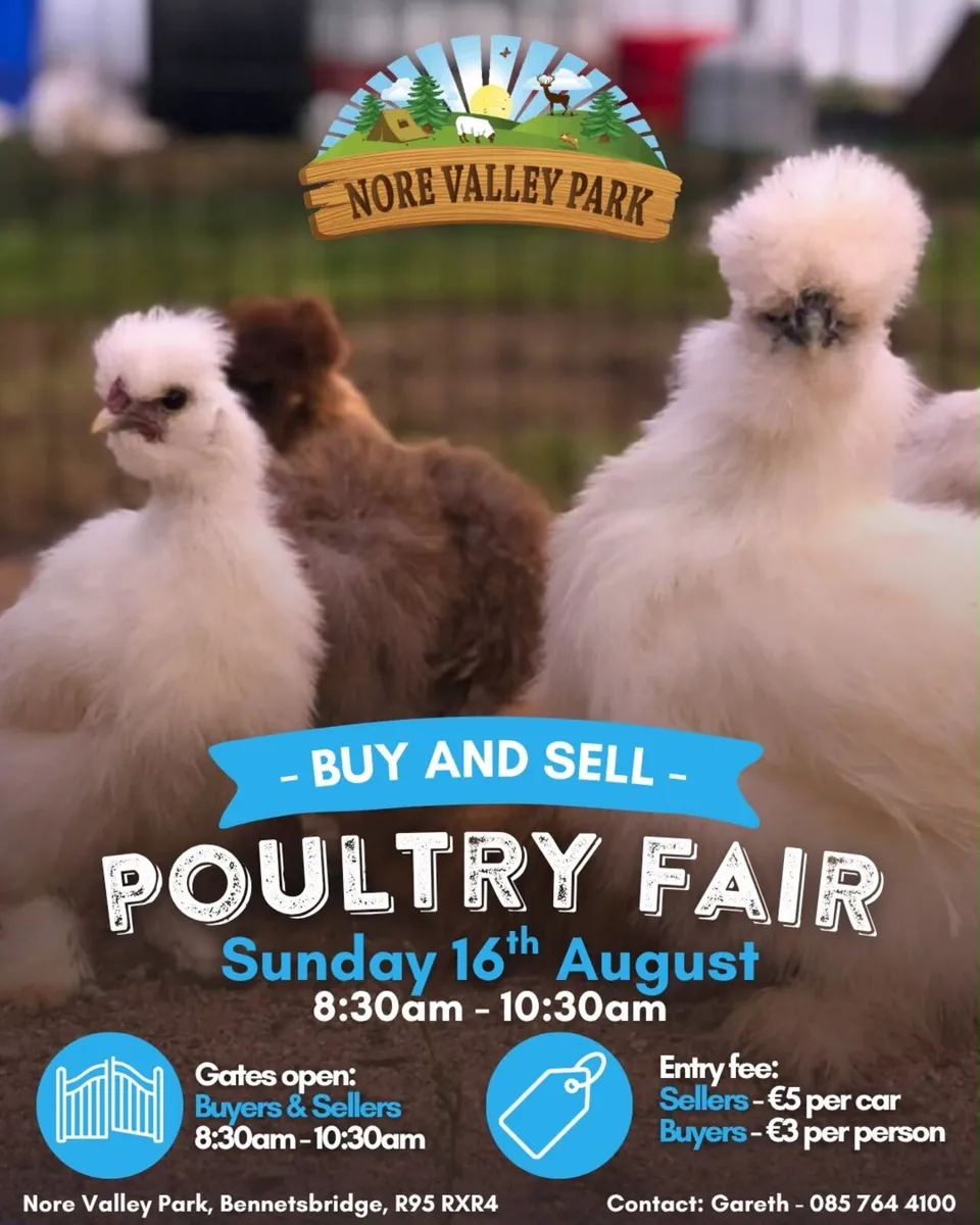 Poultry Fair Kilkenny - Image 1