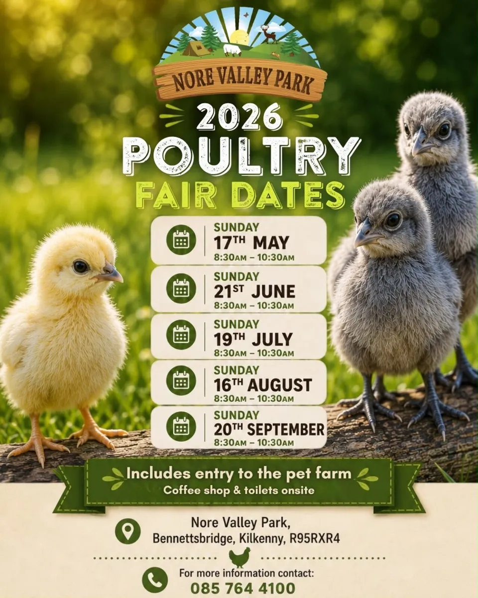 Poultry Fair Kilkenny - Image 2
