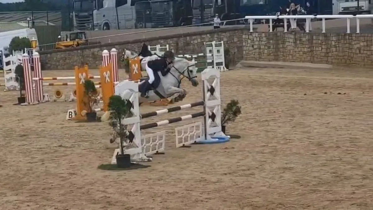 Highburren Rose 148cm showjumper - Image 4