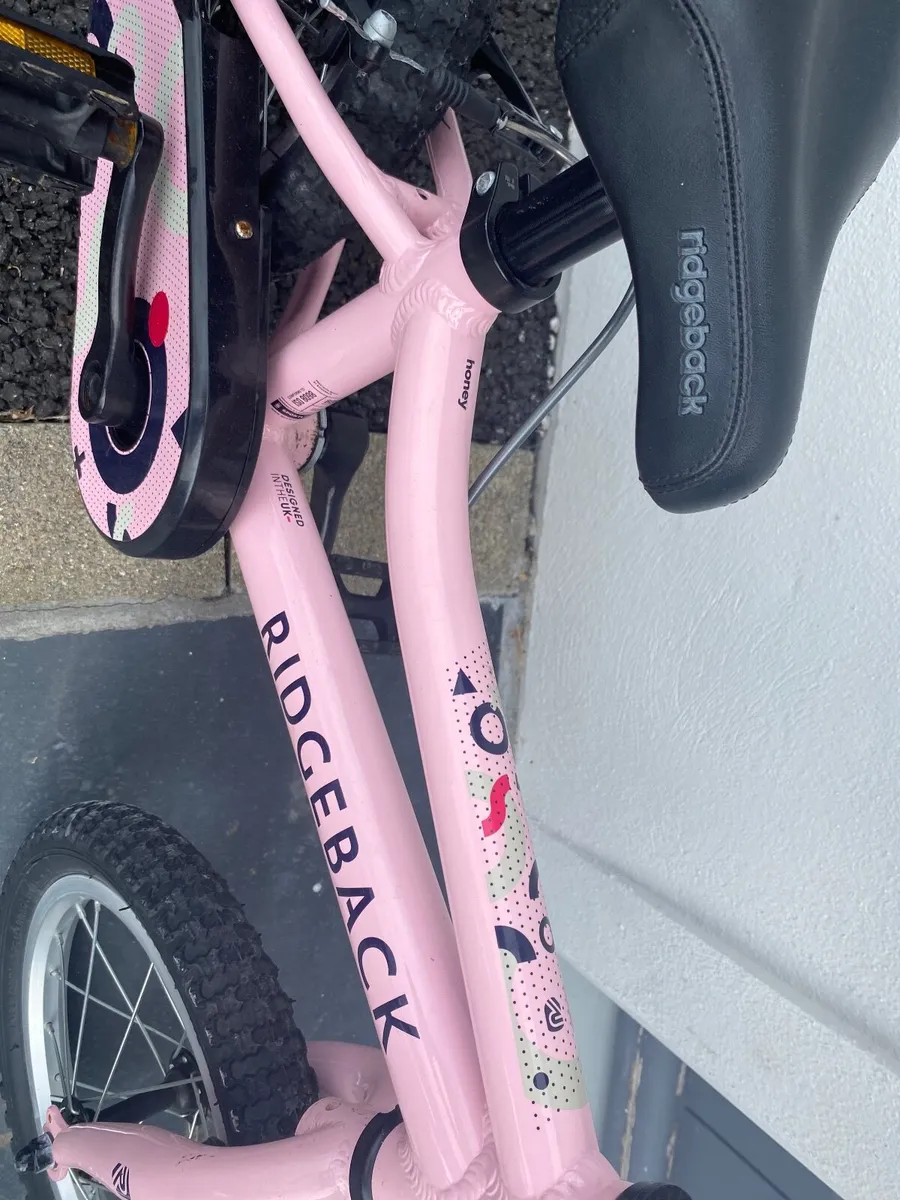 Ridgeback Honey bike - Image 4