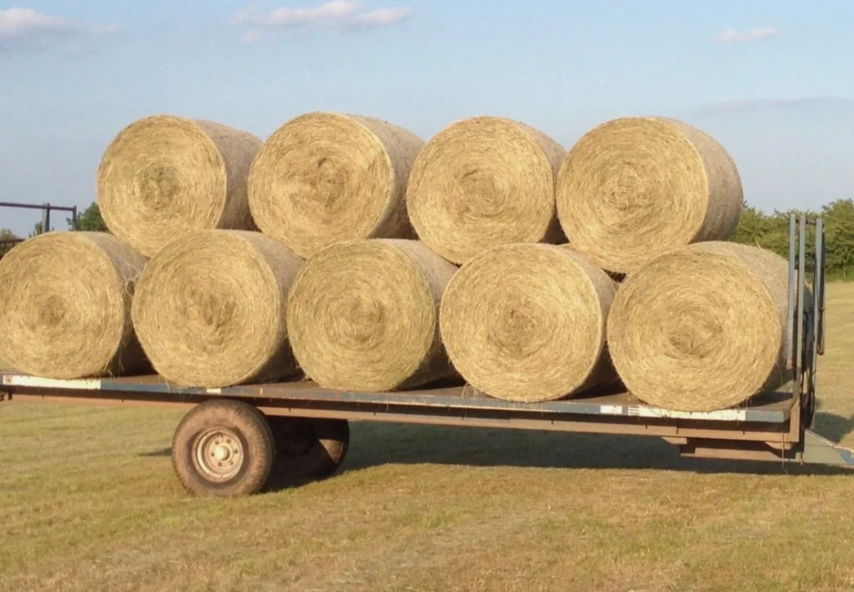 Hay round bales