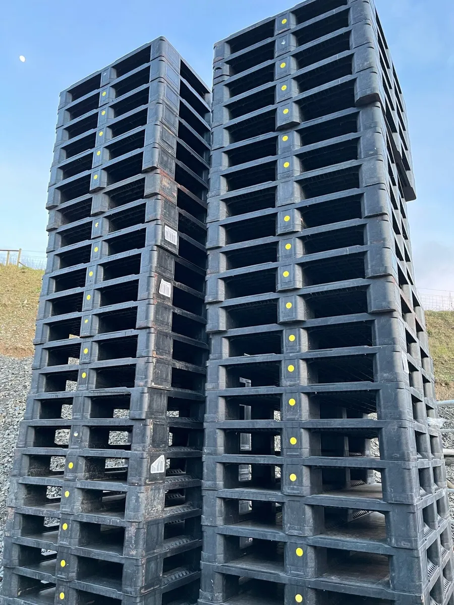 Standard plastic pallets for sale (1200 by 1000) - Image 1