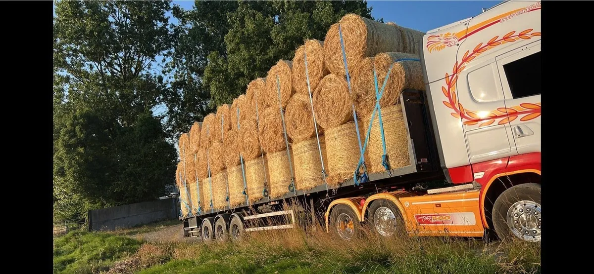 Barley straw 4x4 round bales DELIVERED - Image 4