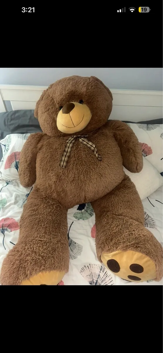 Giant teddy bear - Image 2