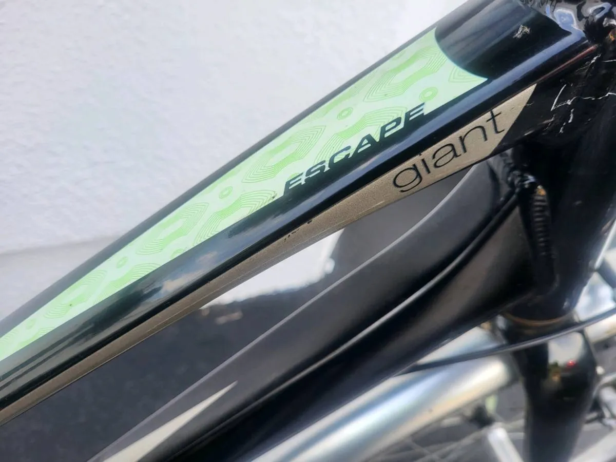 LADIES GIANT LIV ESCAPE HYBRID - Image 3
