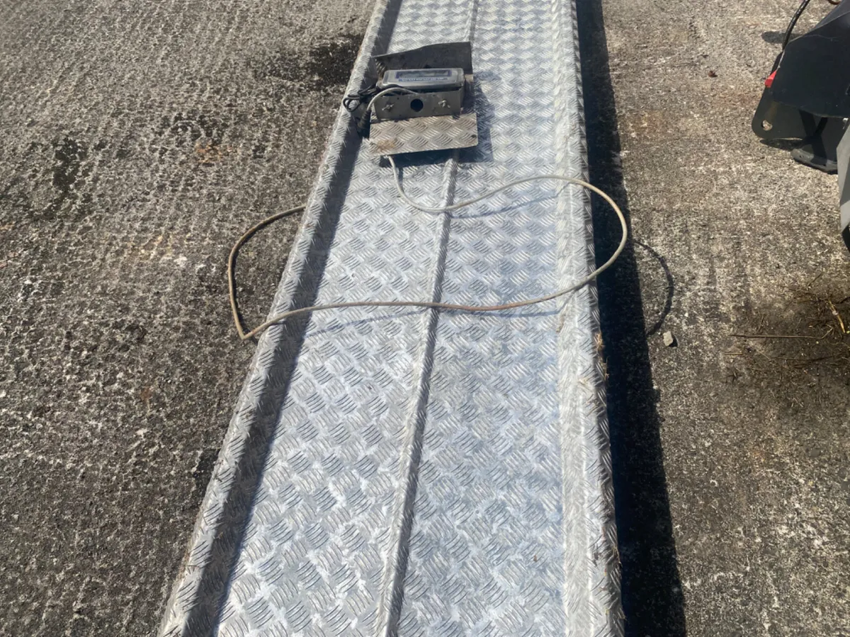 Dmd. Cattle weighting scales - Image 2