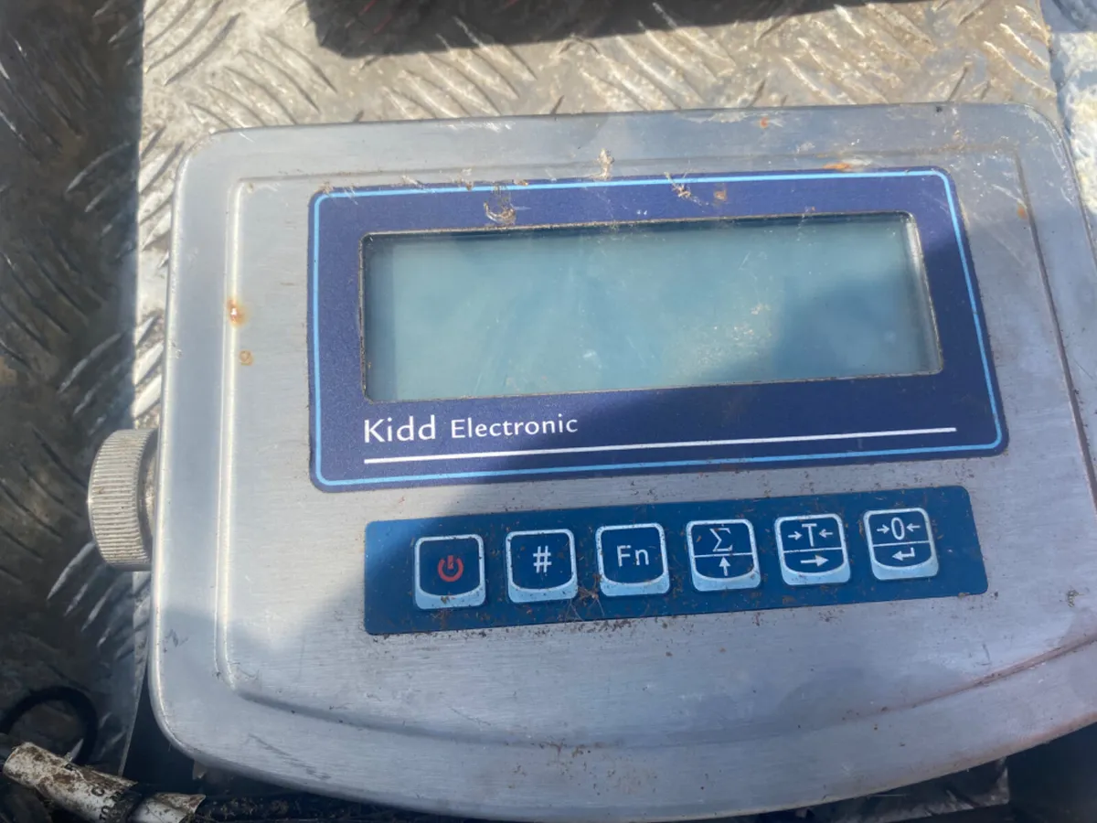 Dmd. Cattle weighting scales - Image 4