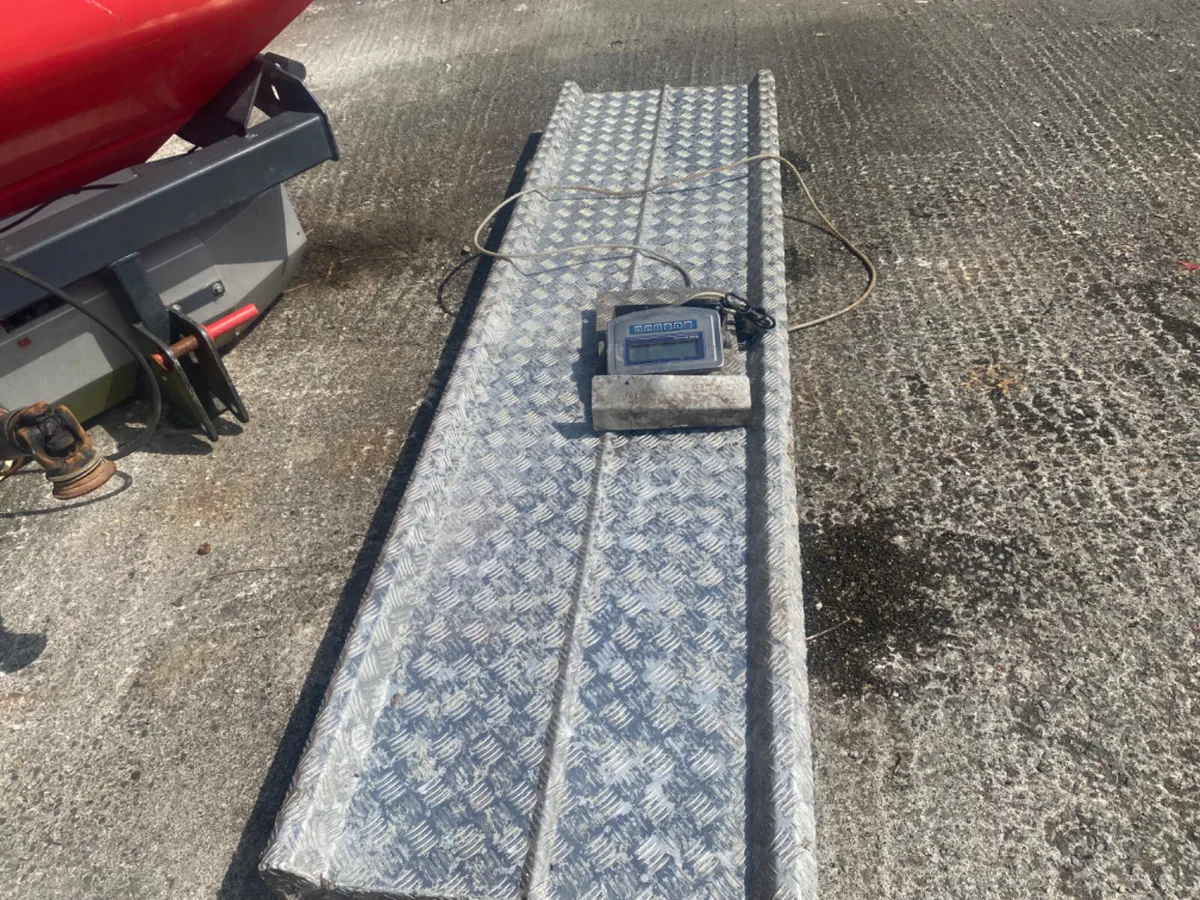 Dmd. Cattle weighting scales - Image 1