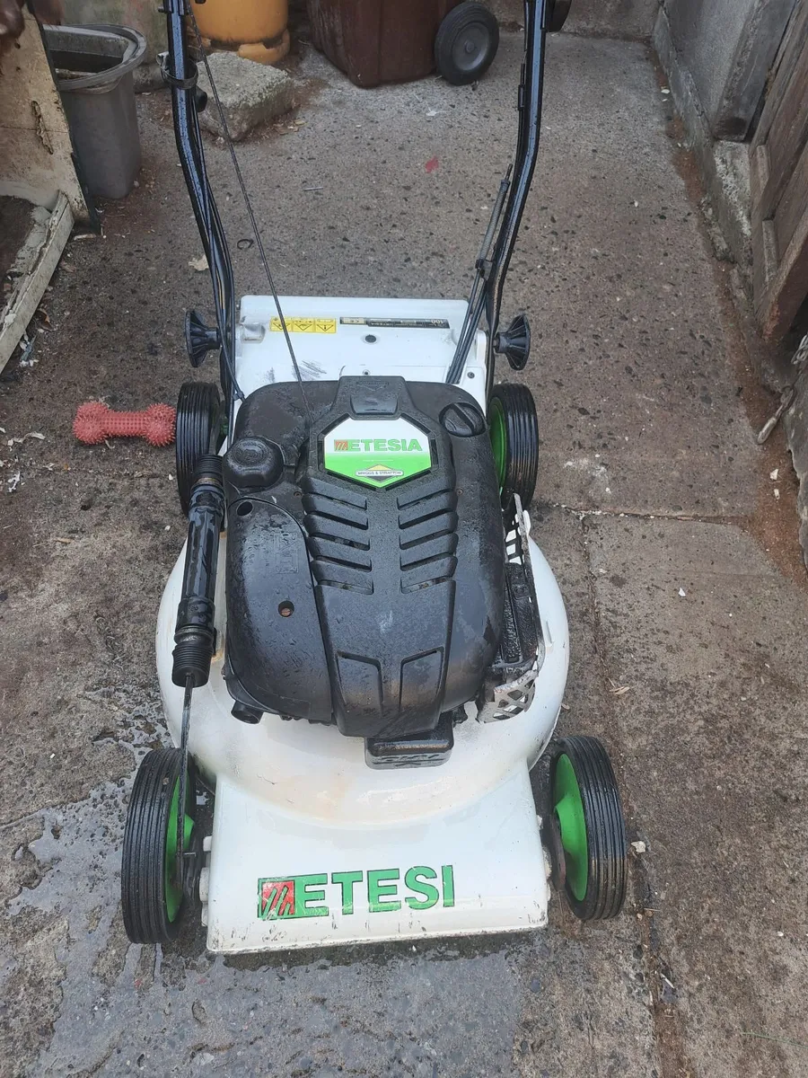 Lawnmower - Image 1