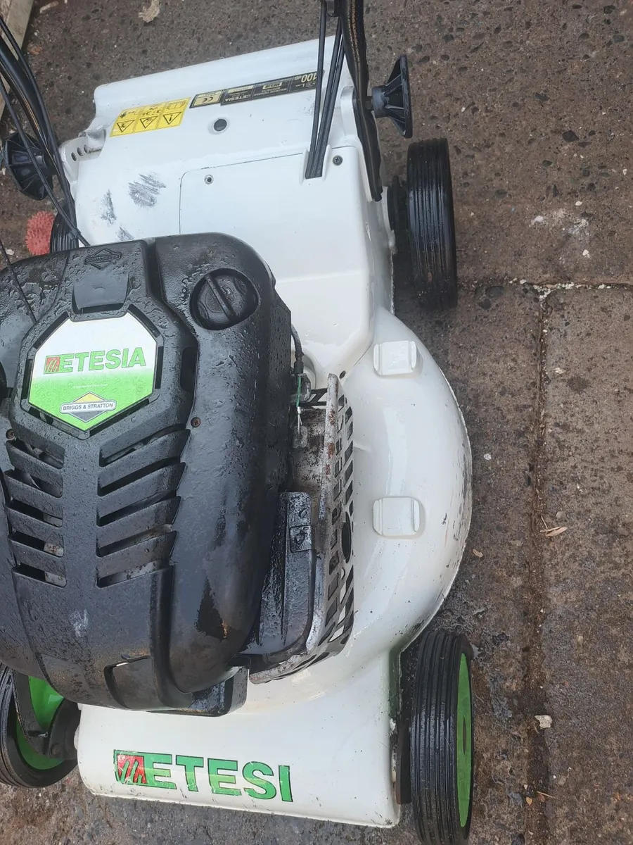 Lawnmower - Image 2