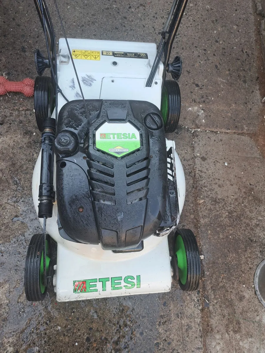 Lawnmower - Image 4