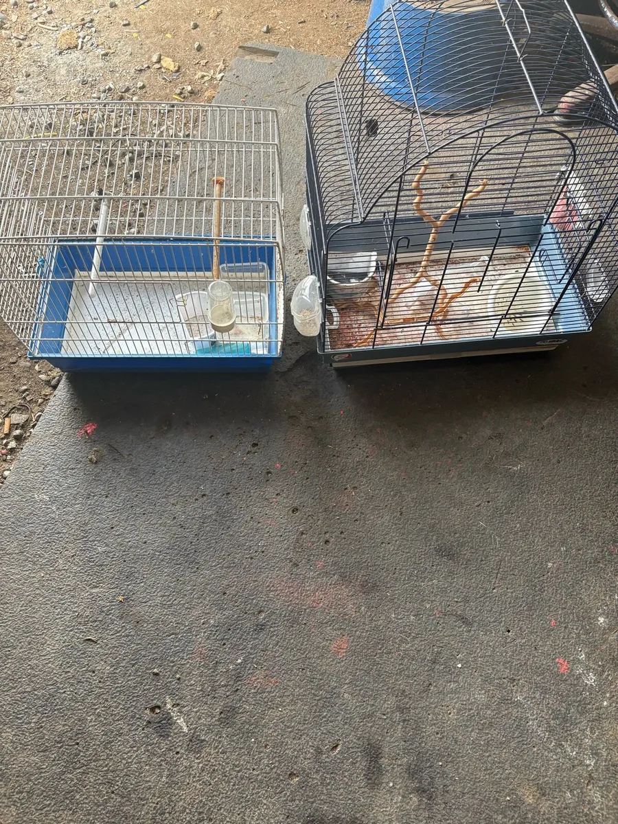 Two birdcages perfect condition p.m. - Image 1