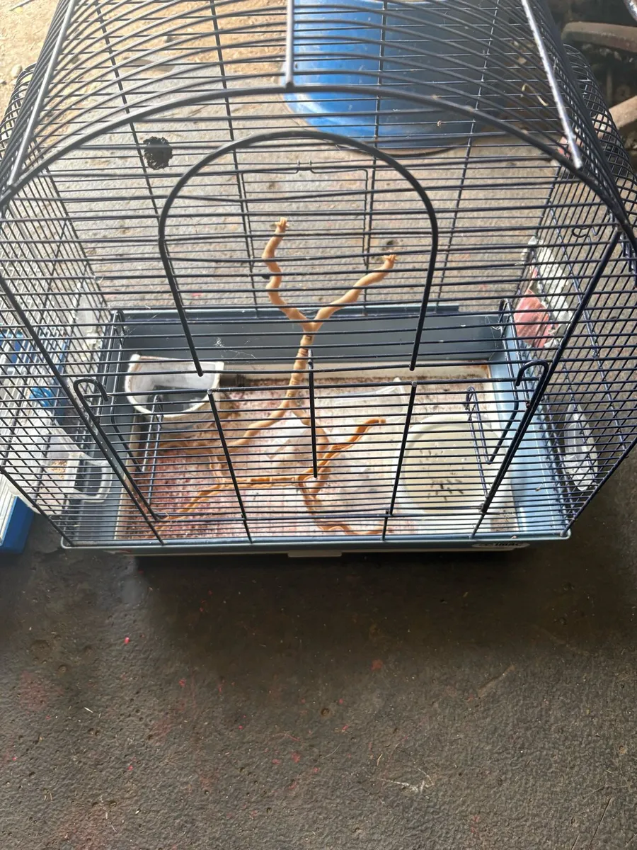 Two birdcages perfect condition p.m. - Image 2