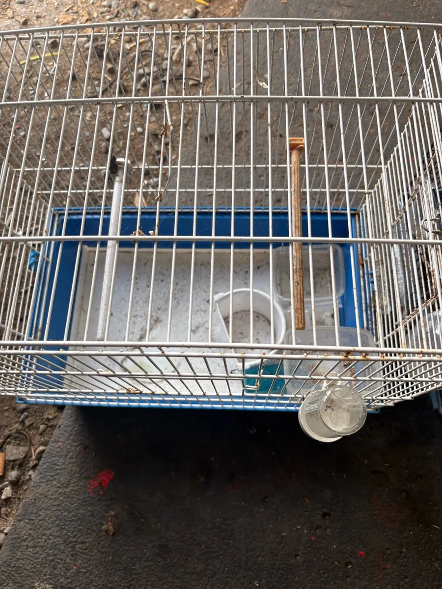 Two birdcages perfect condition p.m. - Image 4