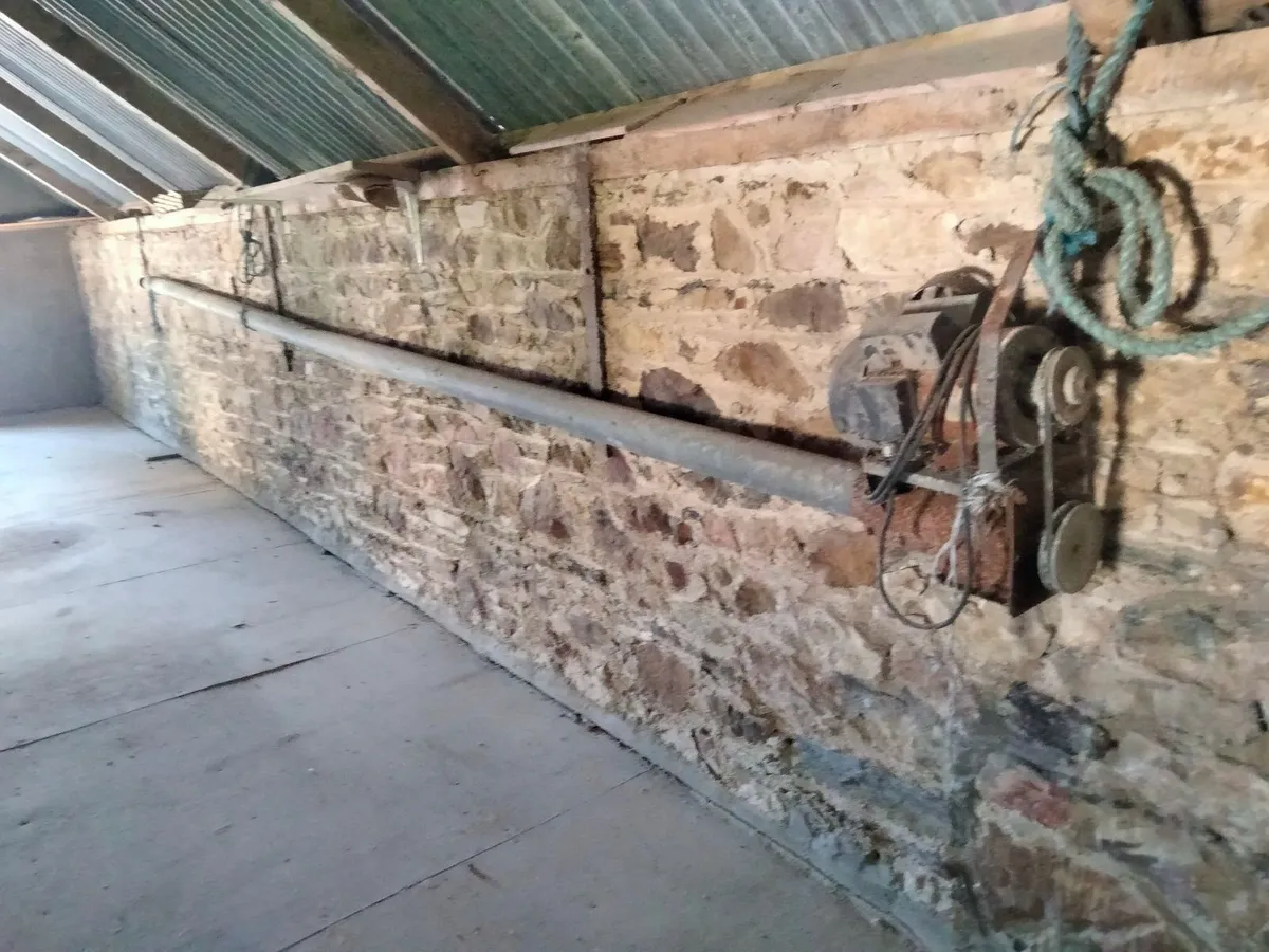 Grain auger and roller - Image 1