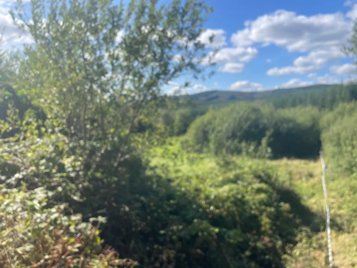 Site for sale lacka beg ,Bilbo CoLimerick   €98k - Image 3