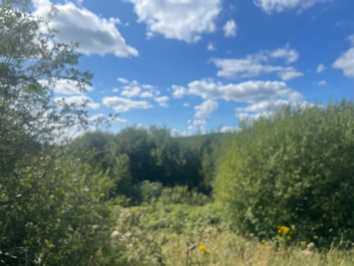 Site for sale lacka beg ,Bilbo CoLimerick   €98k - Image 4