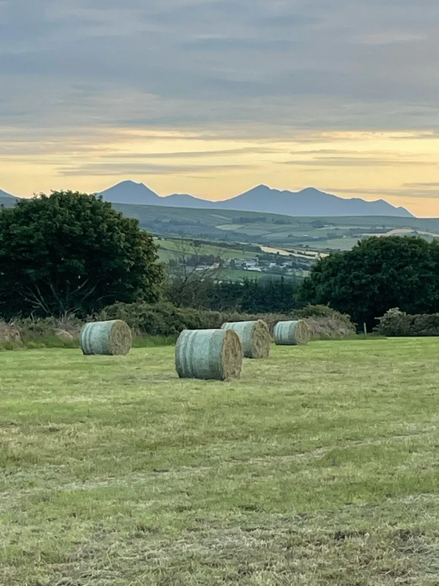 Hay bales - Image 2