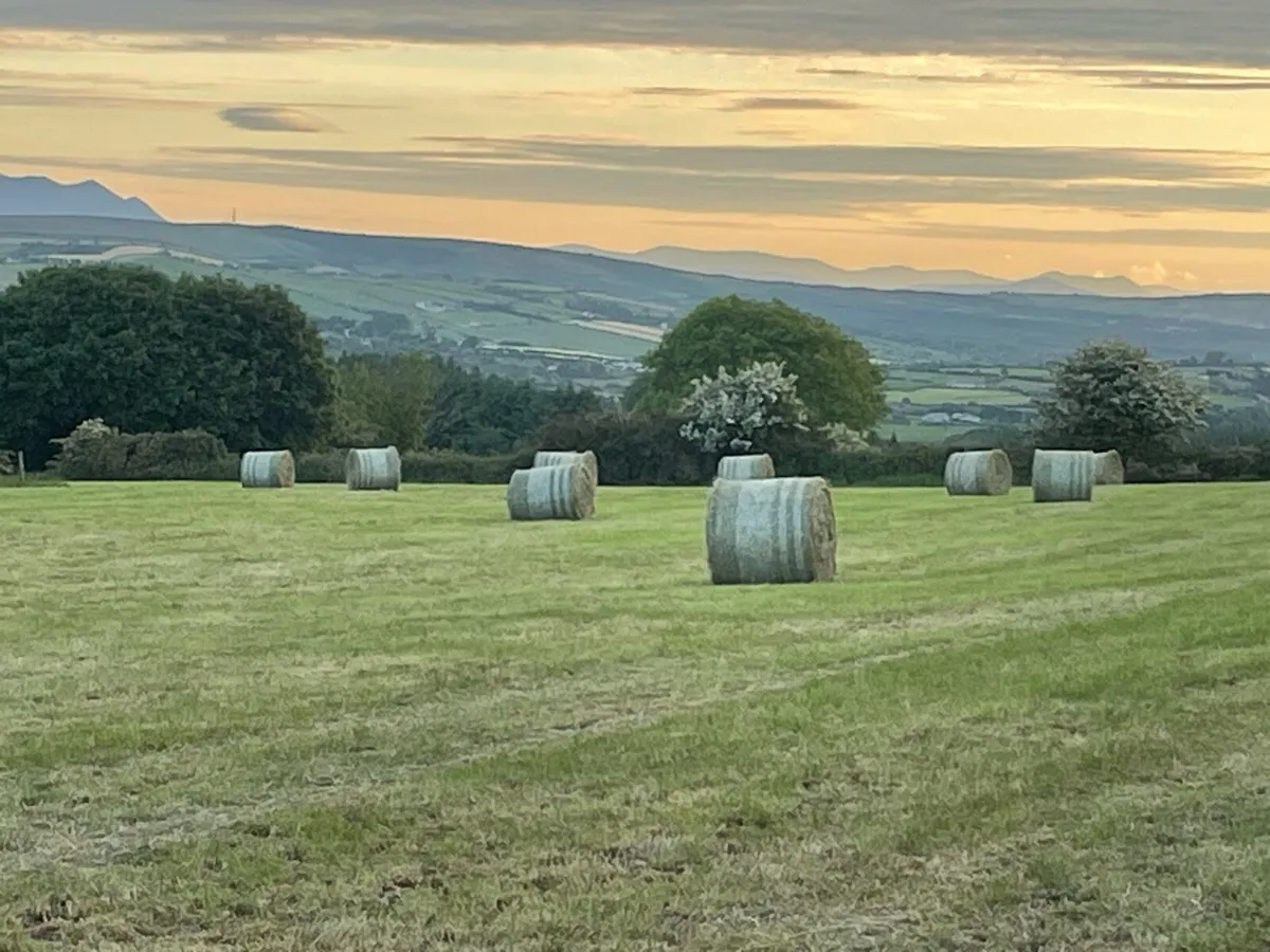 Hay bales - Image 3