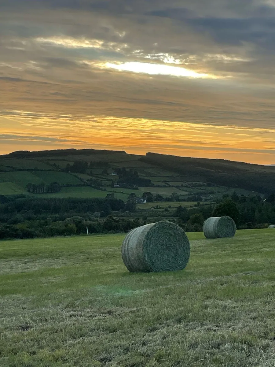 Hay bales - Image 1