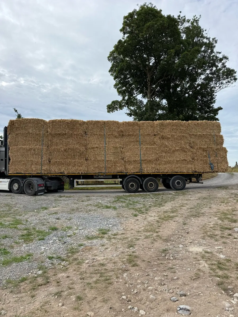 Straw 8x4x3 - Image 3