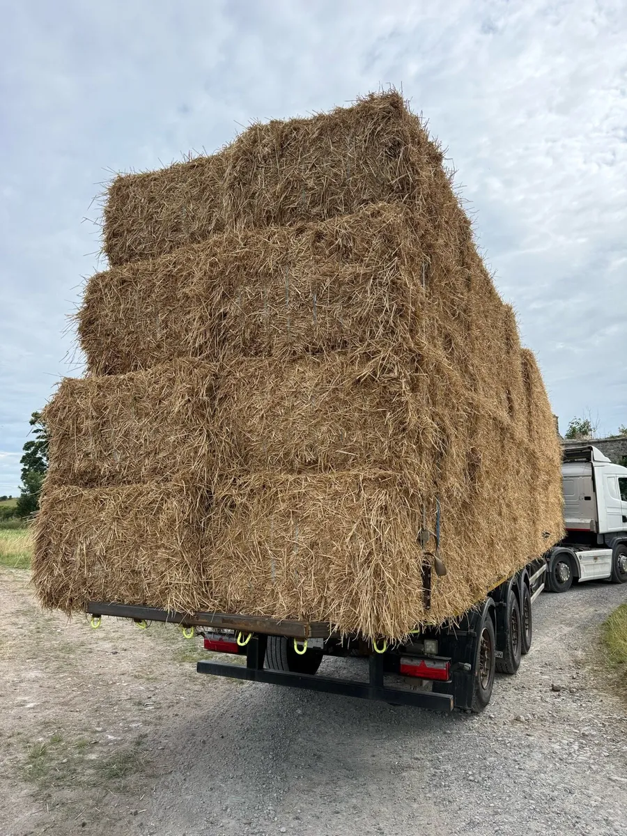 Straw 8x4x3 - Image 4