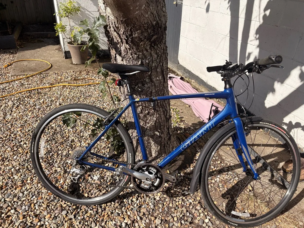 Giant Escape Road Bike - Image 2