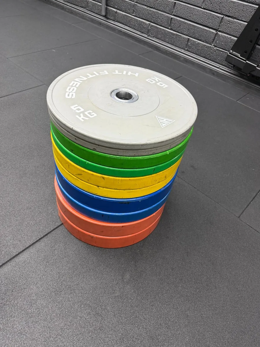 Bumper Plates for Sale - Image 2