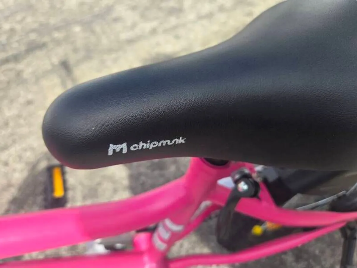 girls bike - Image 2