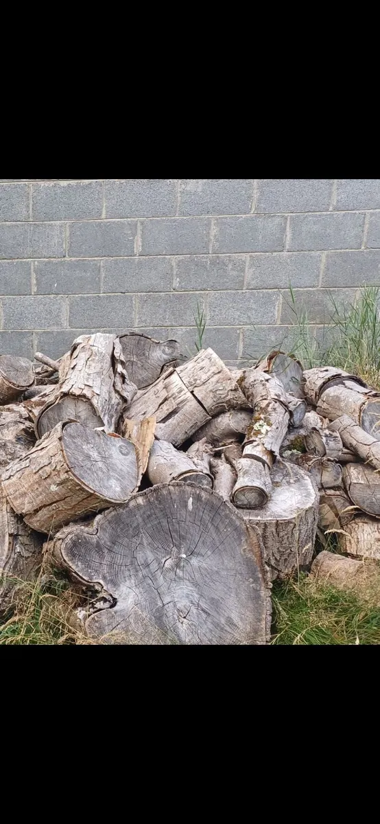 FREE -  Wood of various sizes - Image 1