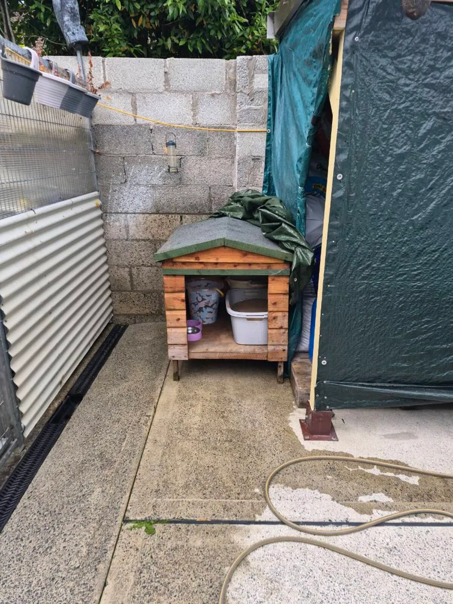 Dog kennel - Image 2