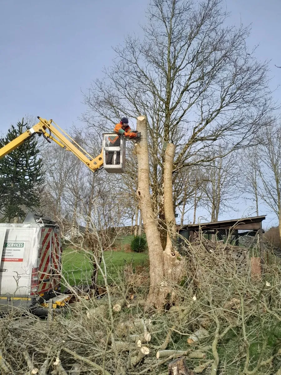 chainsaw operator with garden experience wanted - Image 1