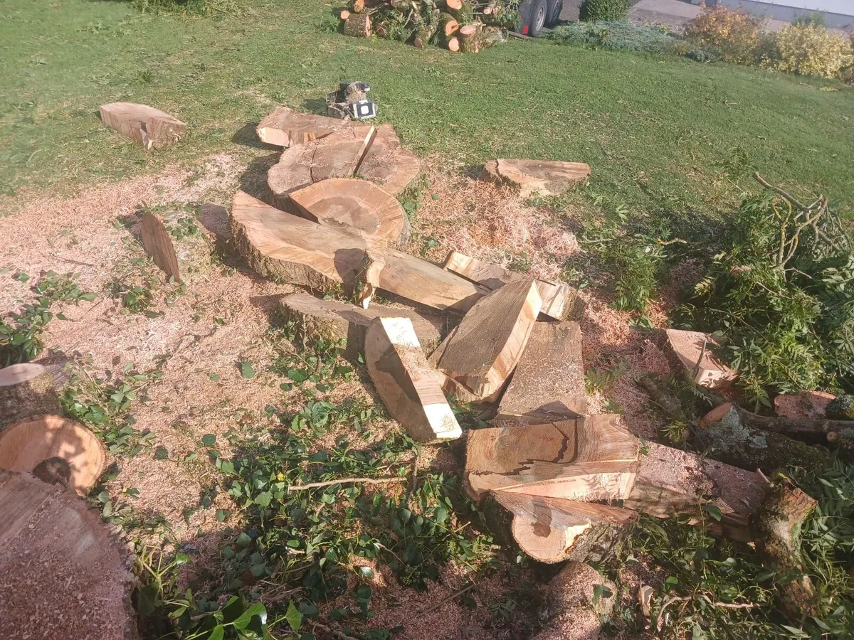 chainsaw operator with garden experience wanted - Image 2