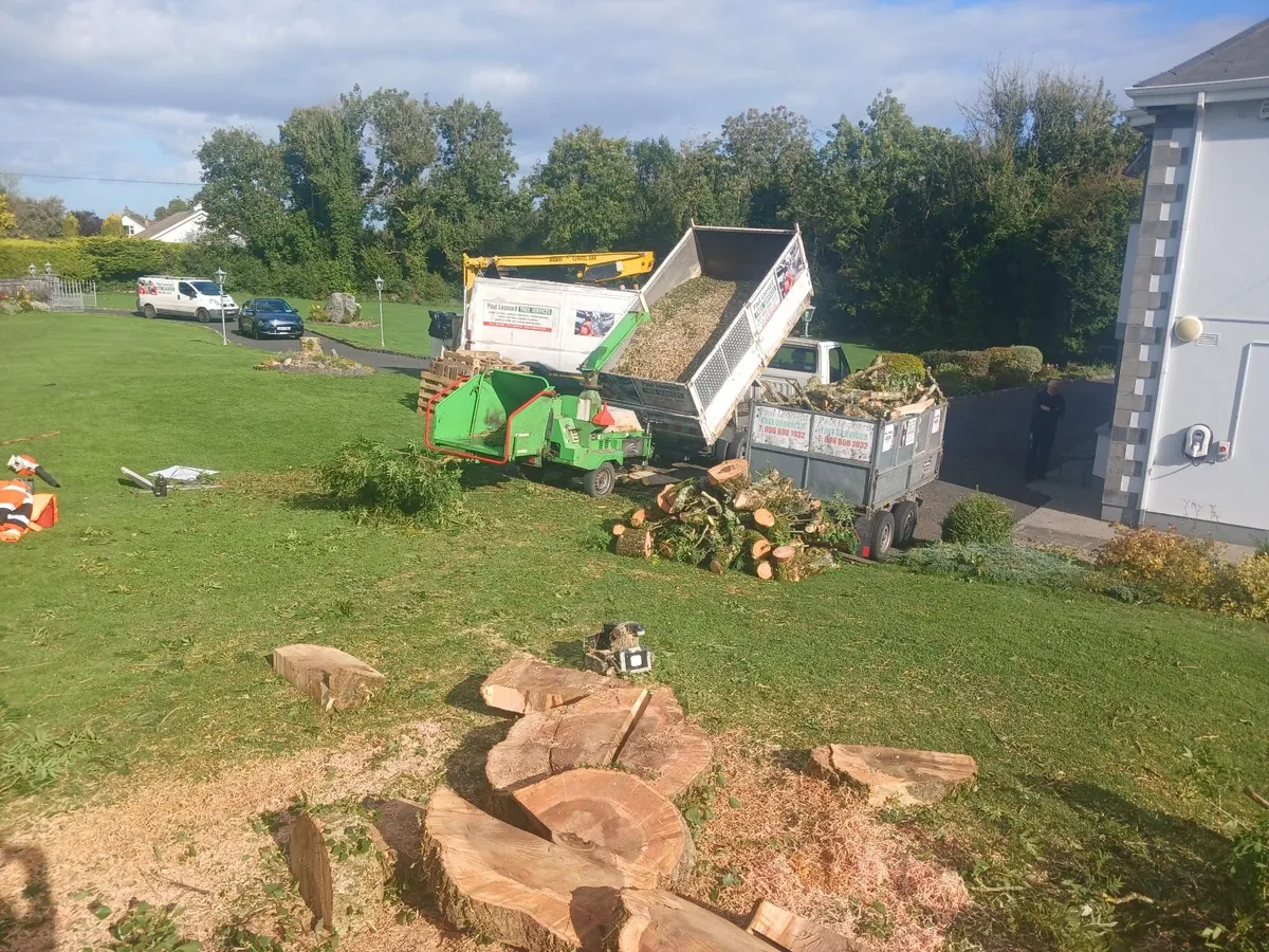 chainsaw operator with garden experience wanted - Image 3