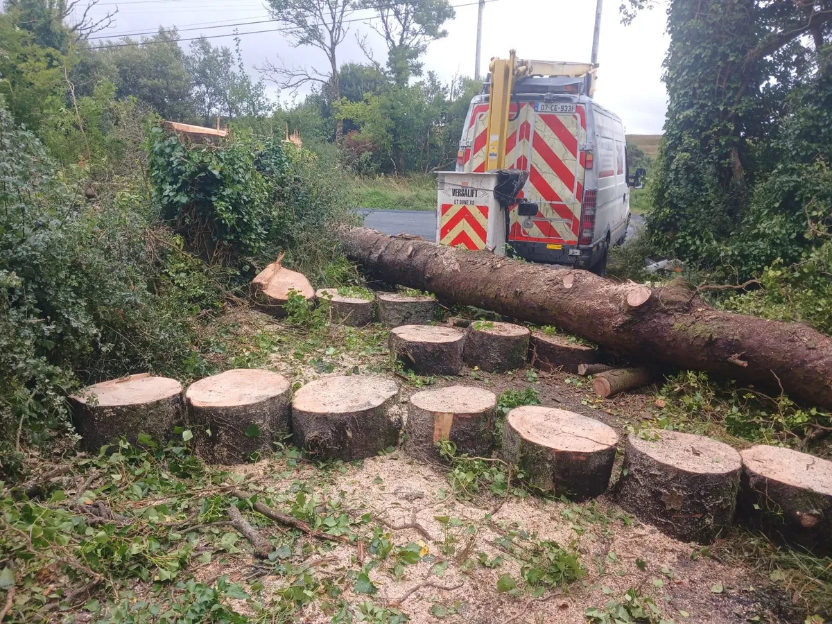 chainsaw operator with garden experience wanted - Image 4