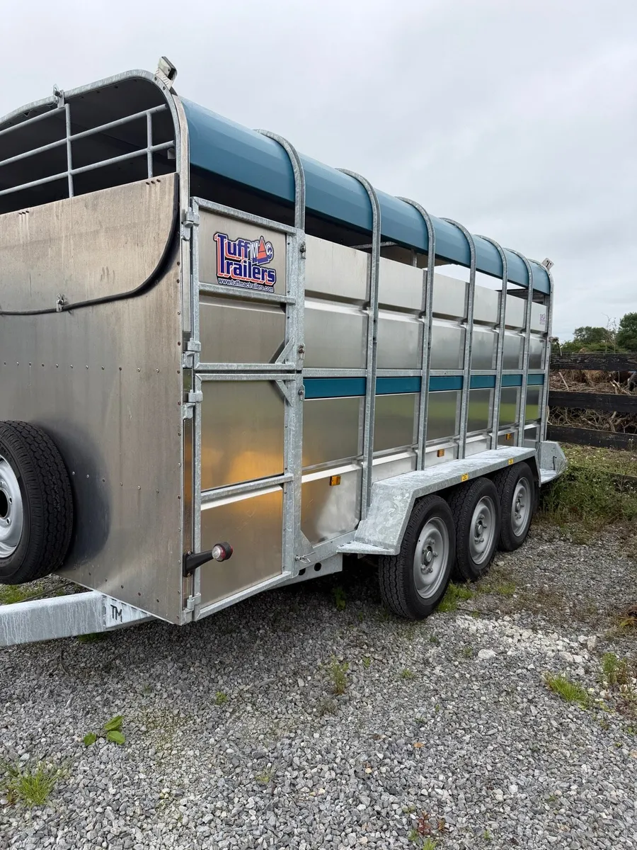 Tuff Mac 14ft trailer - Image 1
