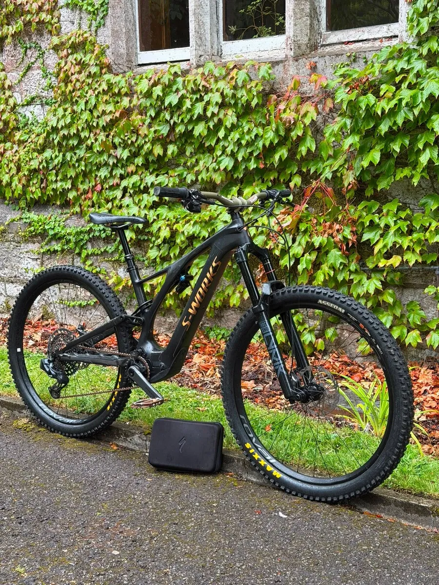 Electric S Works Turbo SL - Image 1