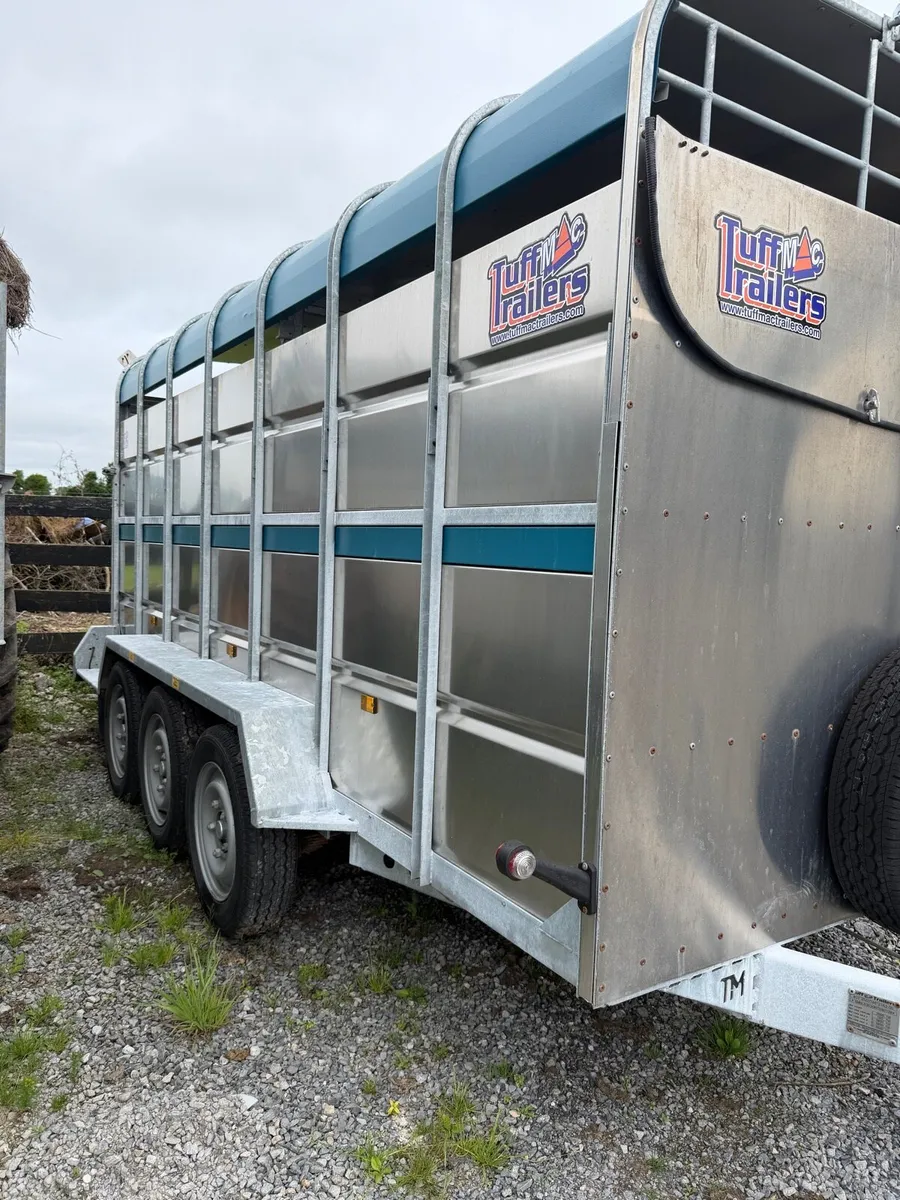 Tuff Mac 14ft trailer - Image 2