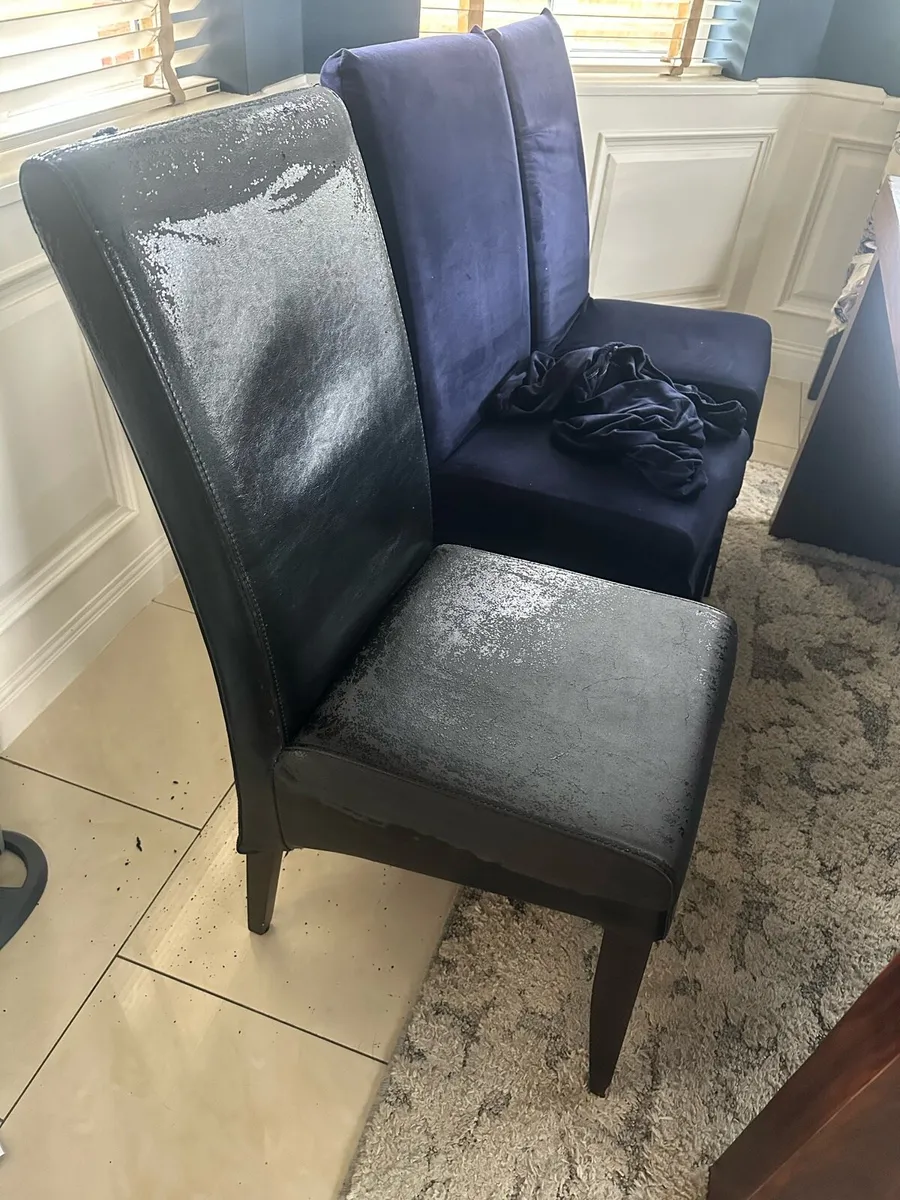 ***8 Dining Chairs need gone taking up storage*** - Image 4