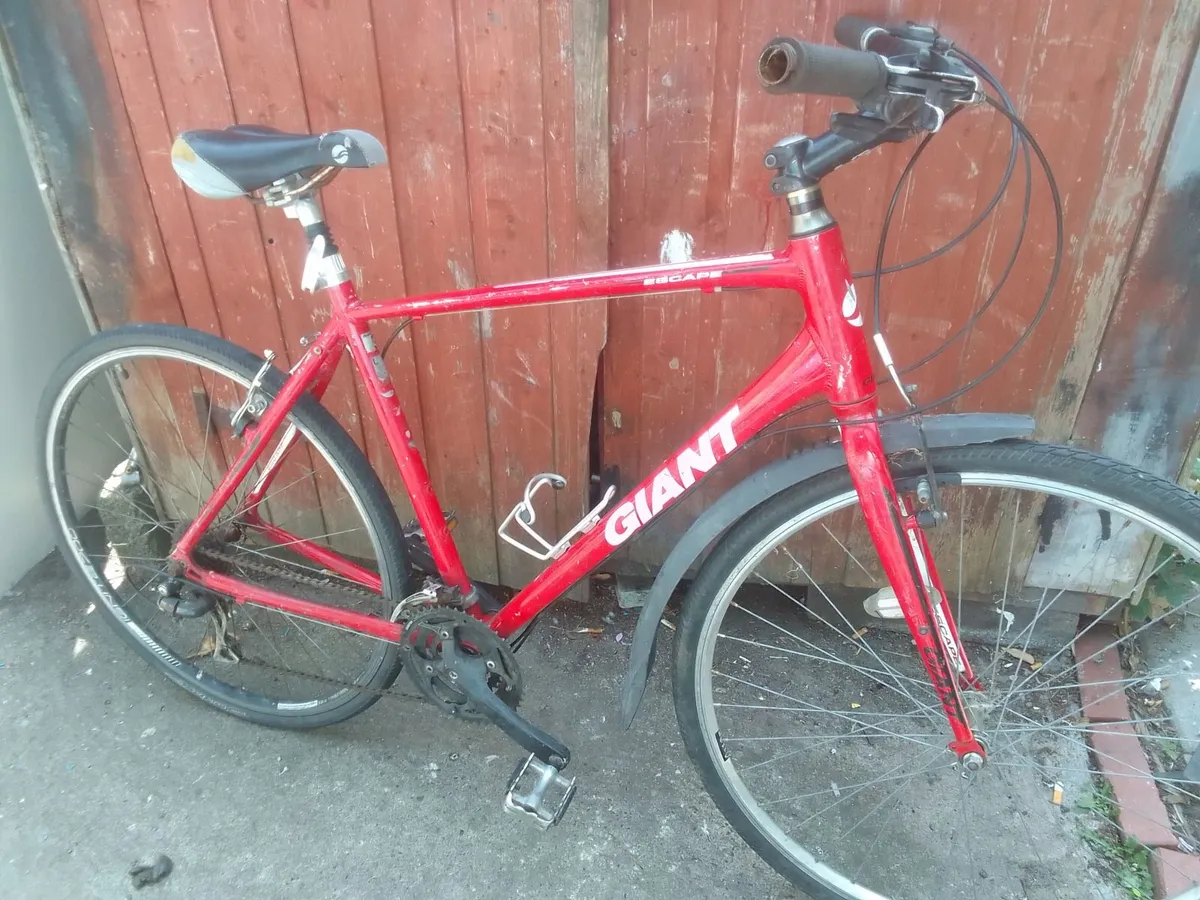 adult bike for sale