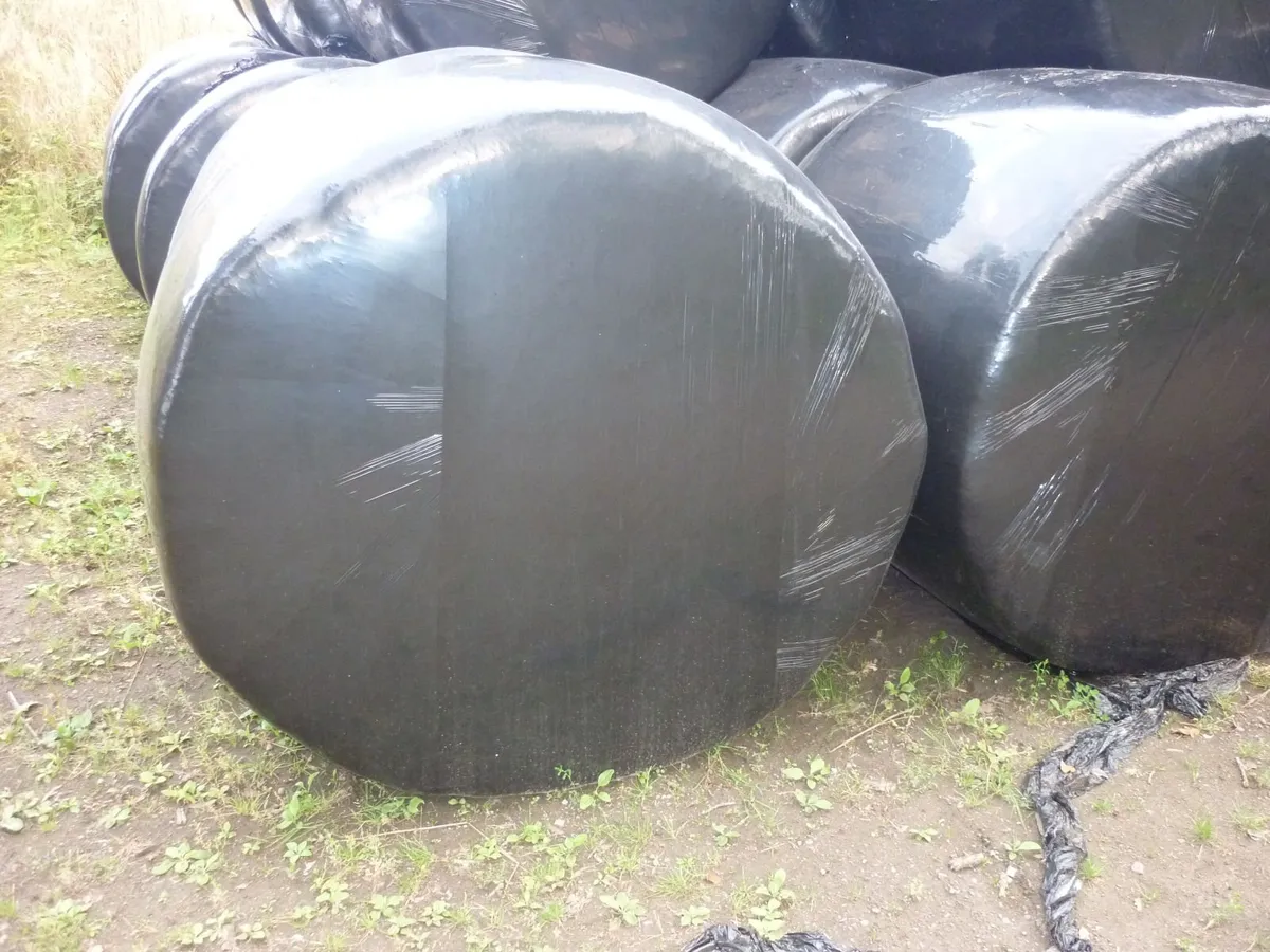 Silage and Haylage - Image 2