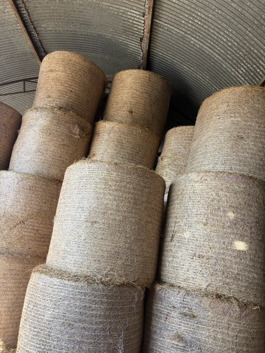 Hay - Image 1