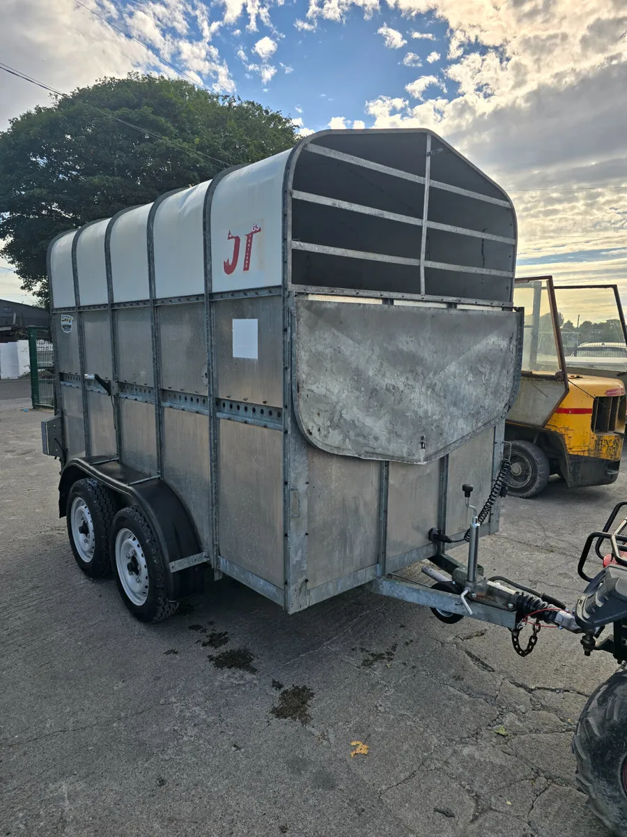 Cattle Trailer 10x5 - Image 2