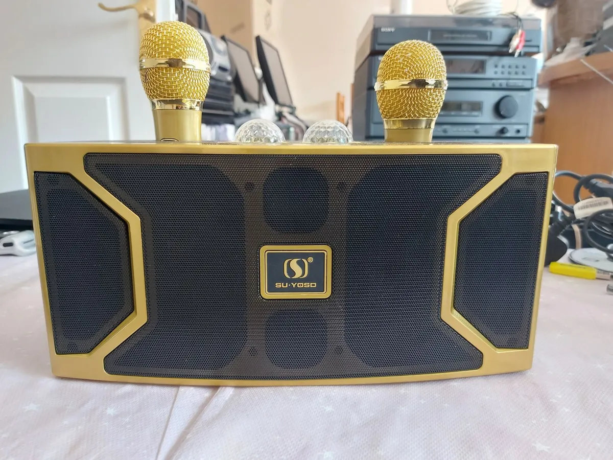 Loa Karaoke Bluetooth Speaker with 2 Microphones - Image 1