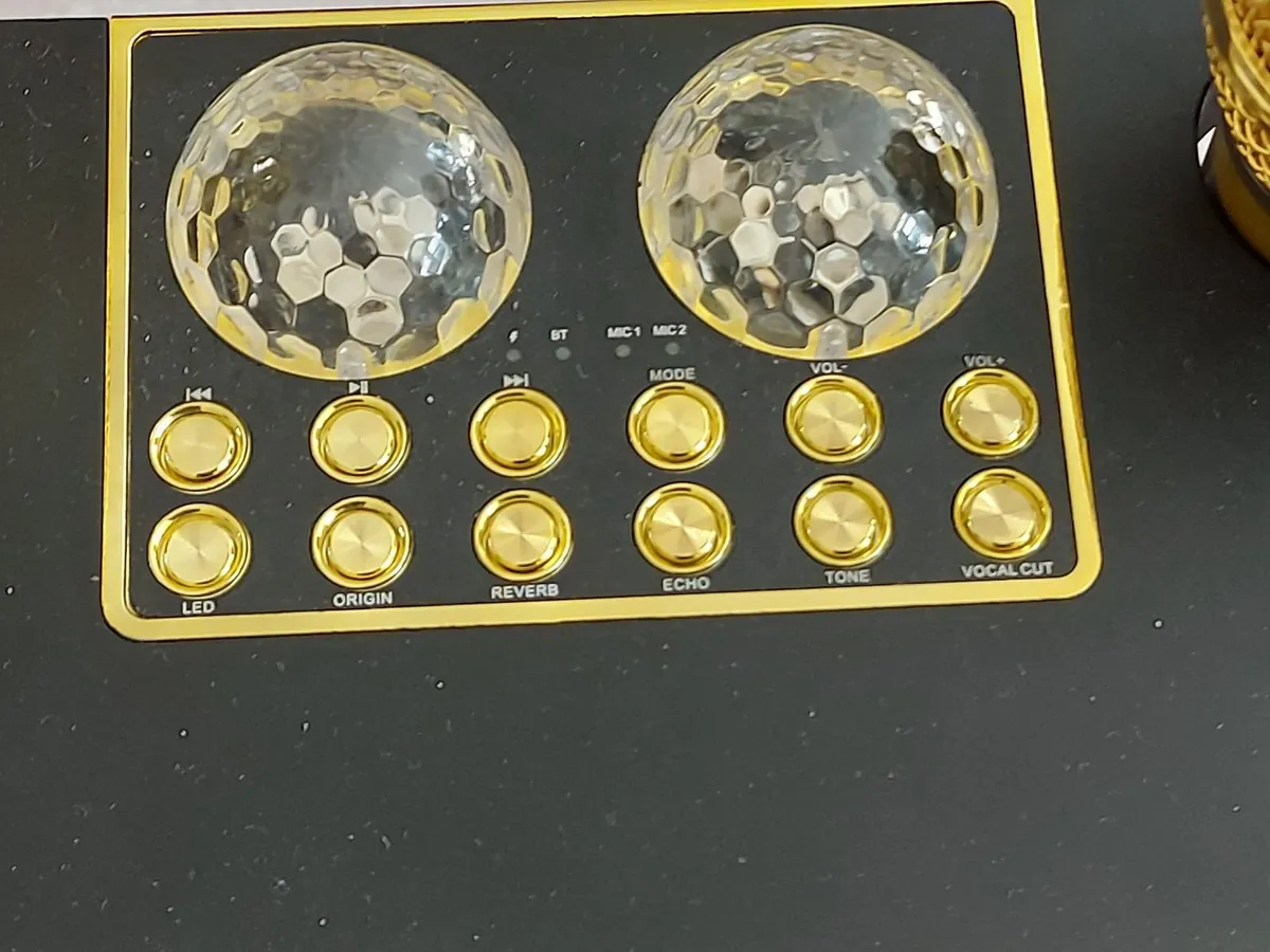 Loa Karaoke Bluetooth Speaker with 2 Microphones - Image 3
