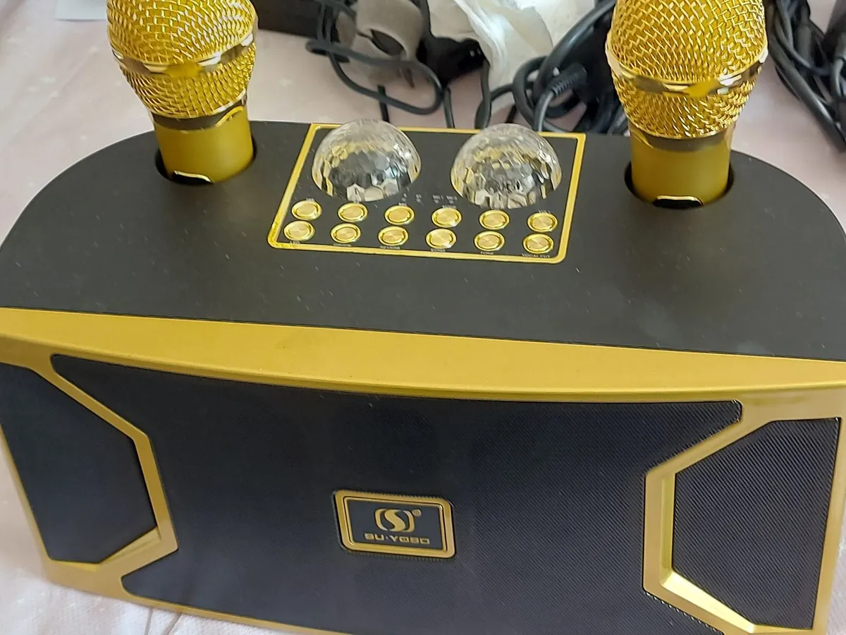 Loa Karaoke Bluetooth Speaker with 2 Microphones - Image 2