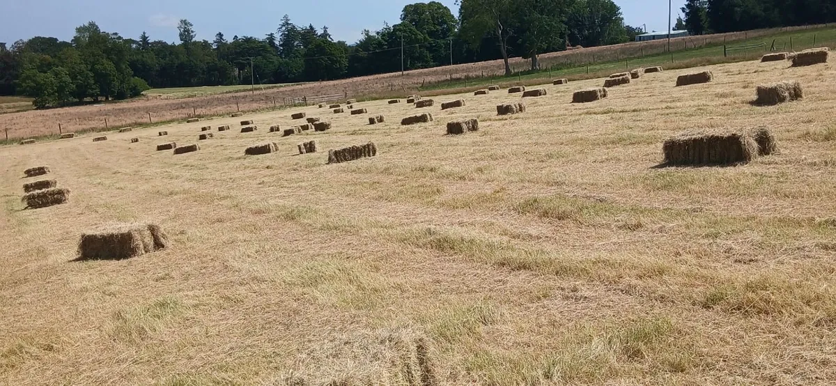 Hay Bales