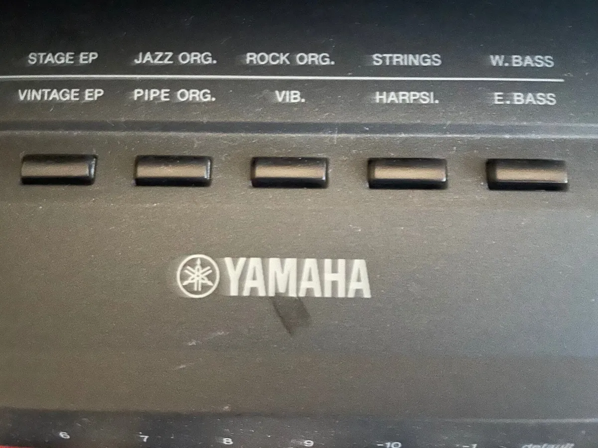 Electric Keyboard  piano with heavy keys - Image 2