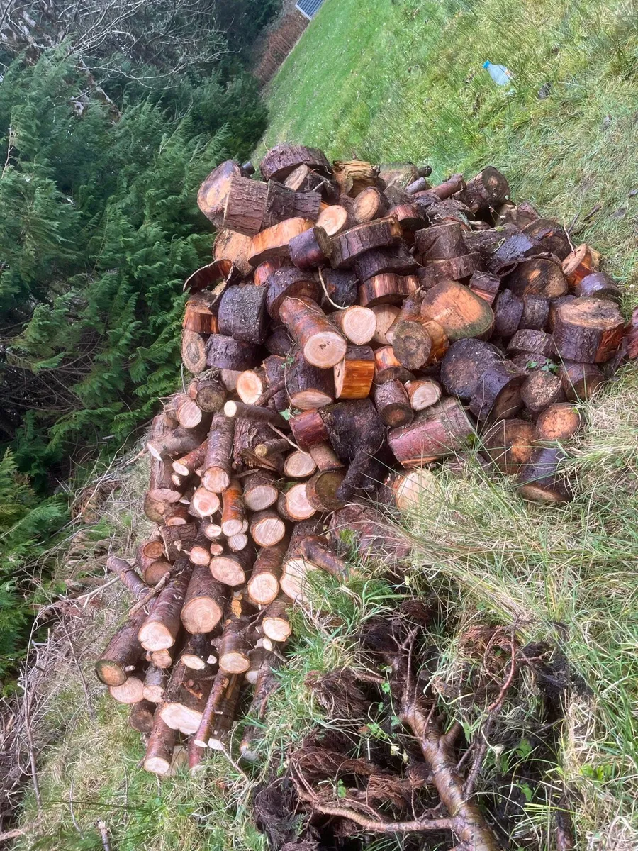 Fire wood - Image 1